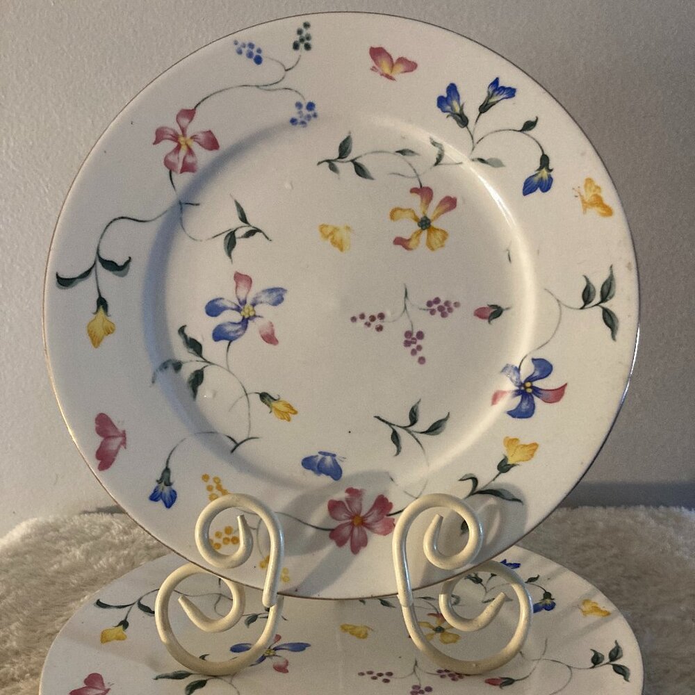 Totally Today "Phlox" 10-3/4" Dinner Plates (2)